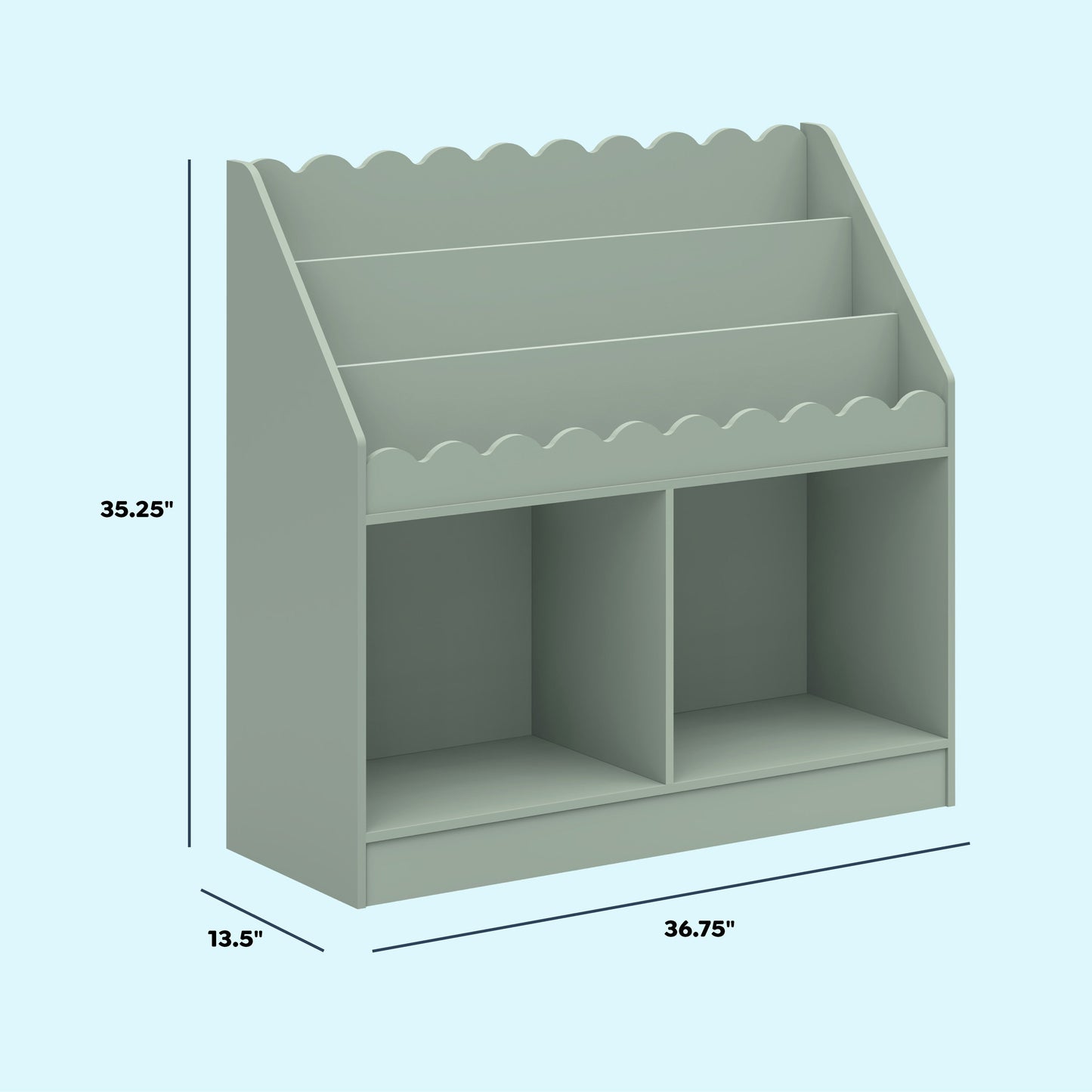Sammy Scallop Bookcase