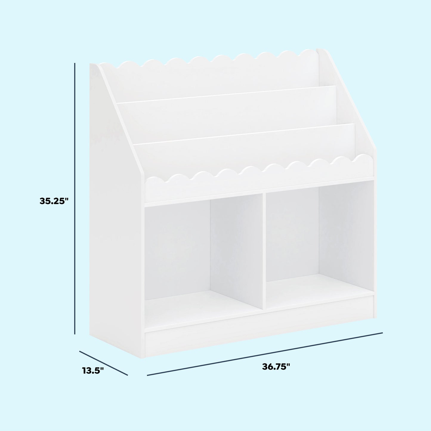 Sammy Scallop Bookcase