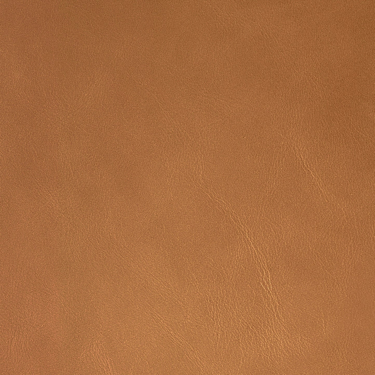 Suzy Recliner and Swivel Glider