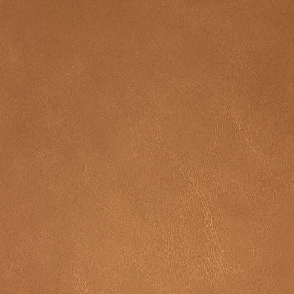 Suzy Recliner and Swivel Glider