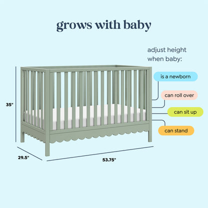 Sammy Scallop 4-in-1  Convertible Crib