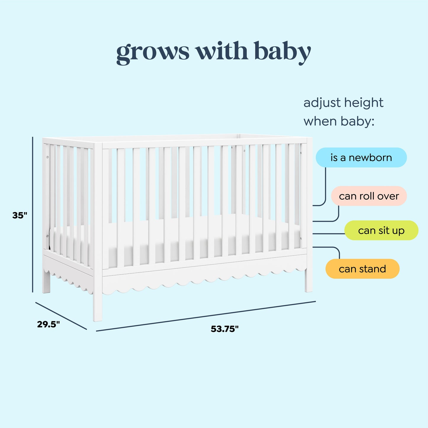 Sammy Scallop 4-in-1  Convertible Crib