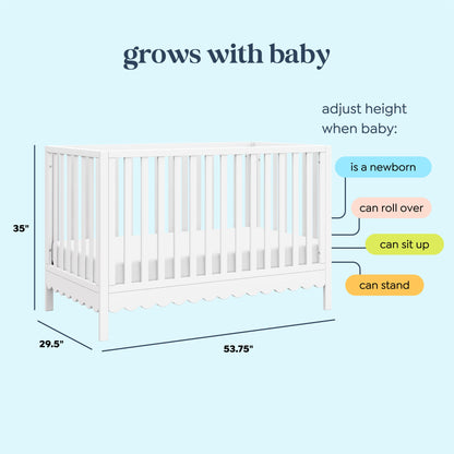 Sammy Scallop 4-in-1  Convertible Crib
