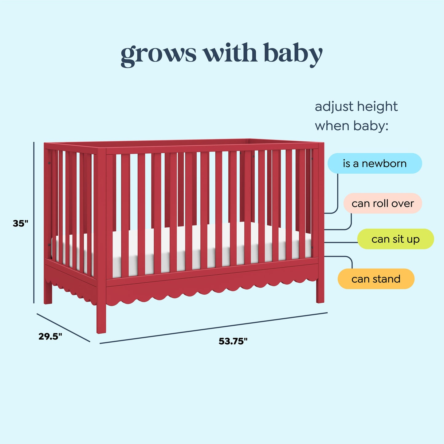 Sammy Scallop 4-in-1  Convertible Crib